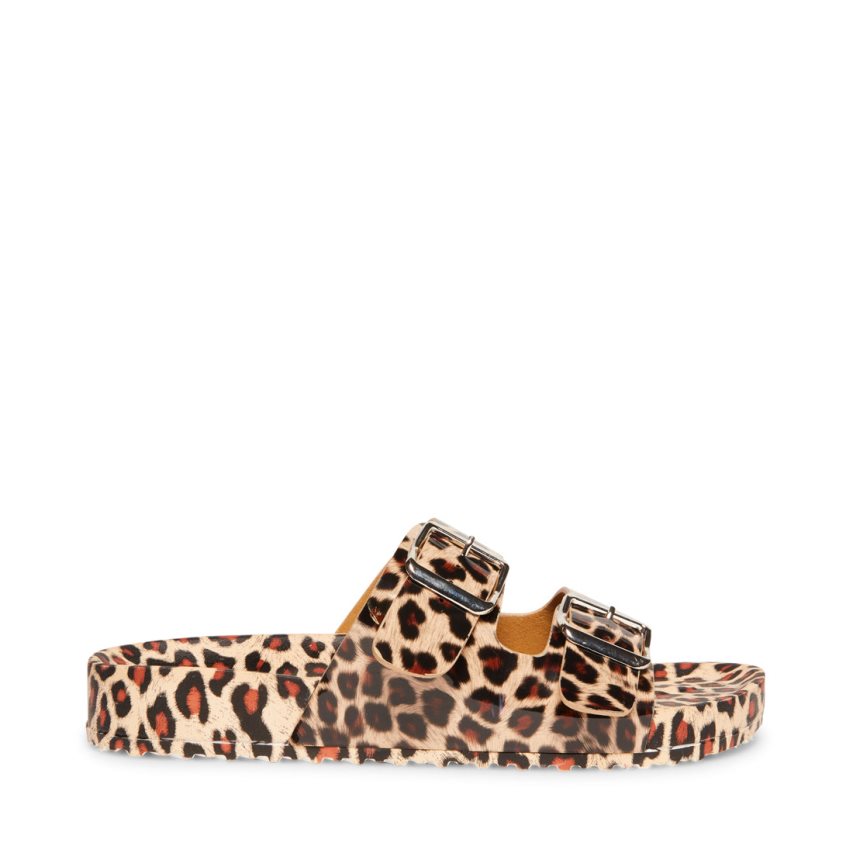 Leopard Steve Madden Teddy-t Women's Slides | PH 4173QLA